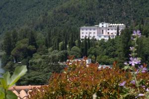 del lago