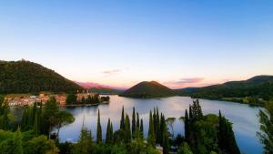 del lago