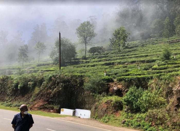ooty