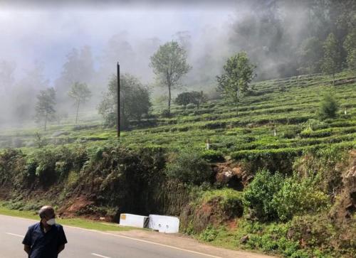 ooty
