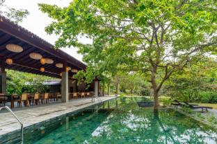 cascara weligama
