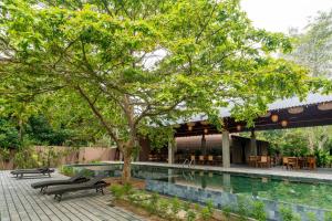 cascara weligama