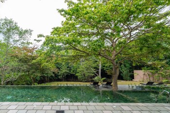 cascara weligama