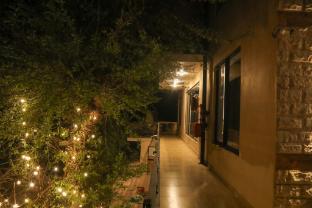 hogs panorama manali