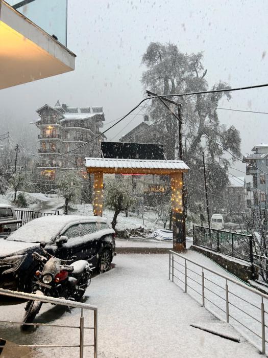 hogs panorama manali