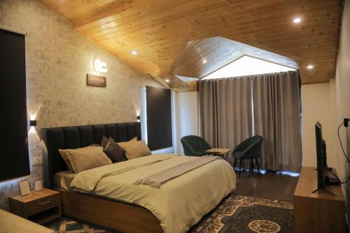 hogs panorama manali
