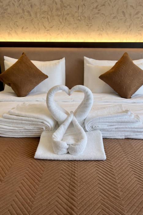 hotel mango groves