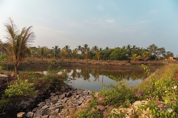 saiprasad tiger resorts tadoba