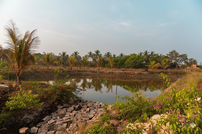 saiprasad tiger resorts tadoba