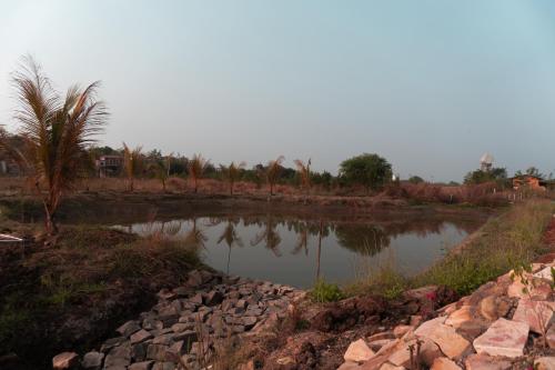 saiprasad tiger resorts tadoba