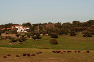 herdade dos moreiros