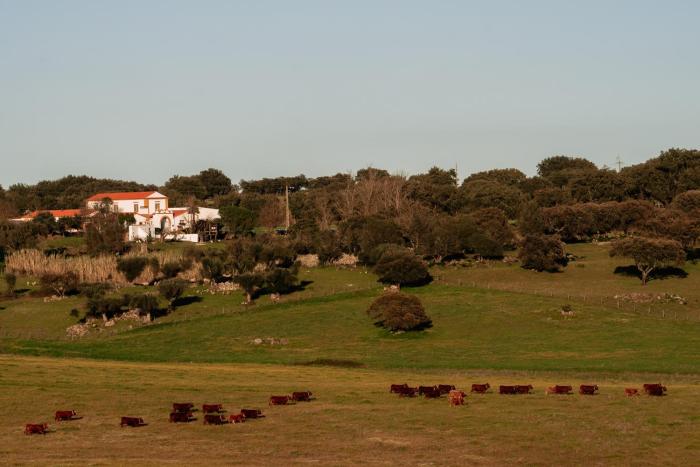 herdade dos moreiros