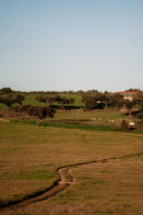 herdade dos moreiros
