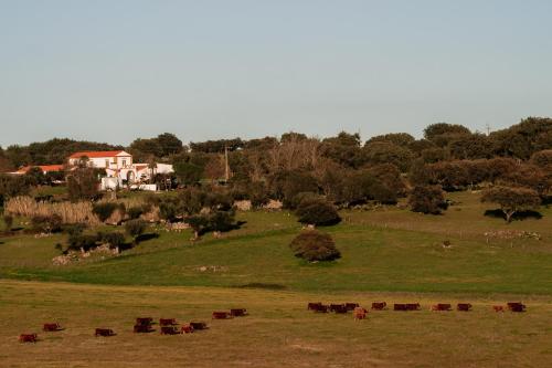 herdade dos moreiros