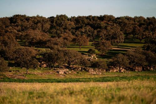 herdade dos moreiros