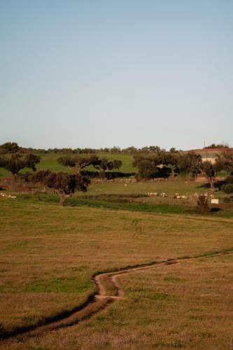 herdade dos moreiros