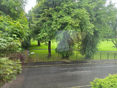 alexandra park apartments