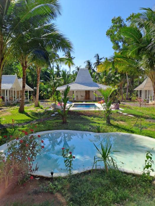 the palms penida