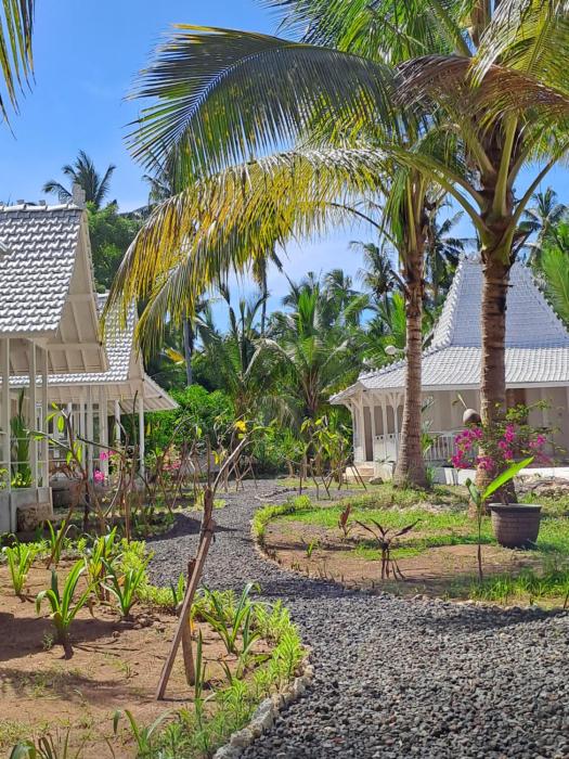 the palms penida
