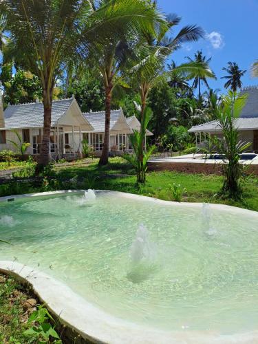 the palms penida