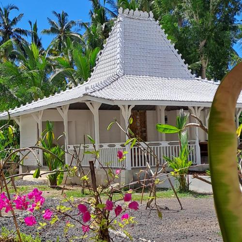 the palms penida