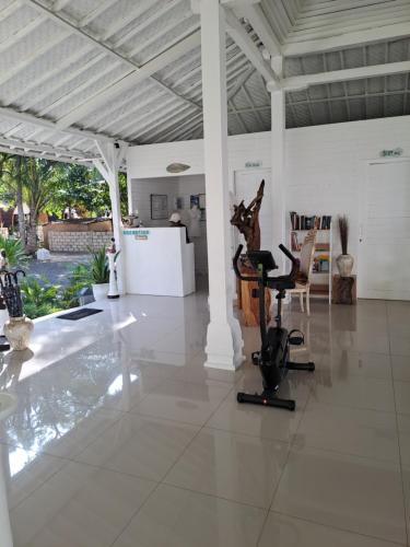 the palms penida