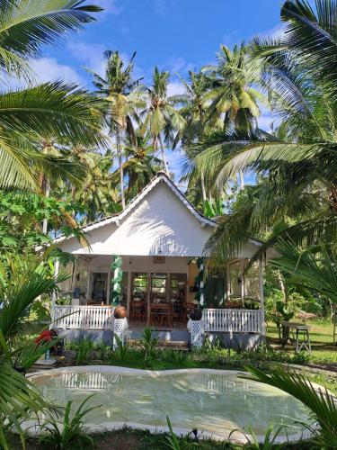 the palms penida