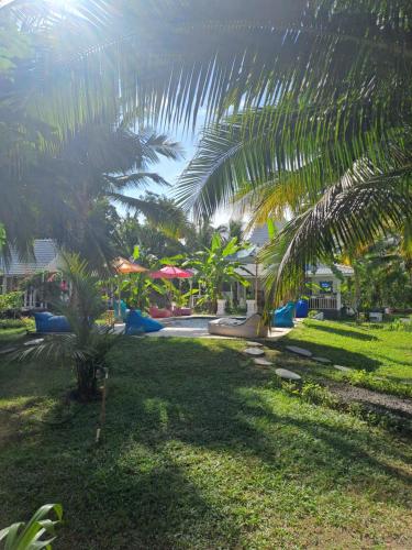 the palms penida