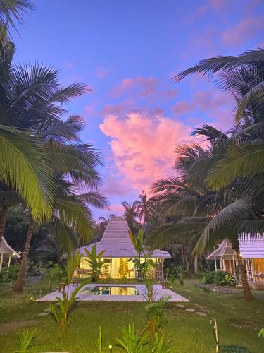 the palms penida