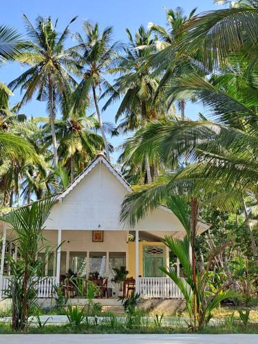 the palms penida