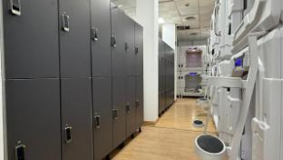 beddy hostels