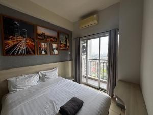 collection o expressia stay