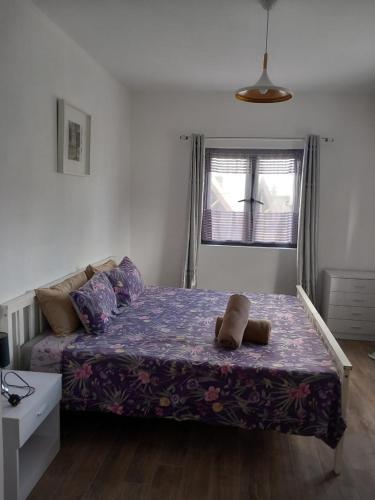 ibis tourist residence 1
