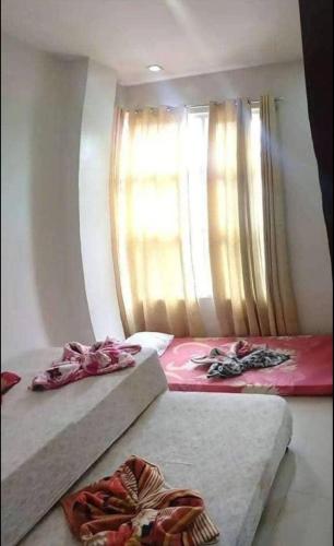 lee ann homestay baguio