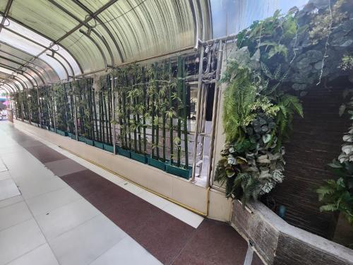 new vc hotel bangkok