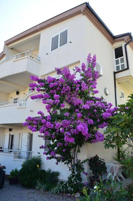 villa alea