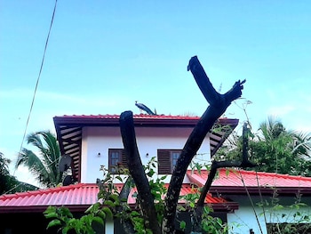 udara guest yala