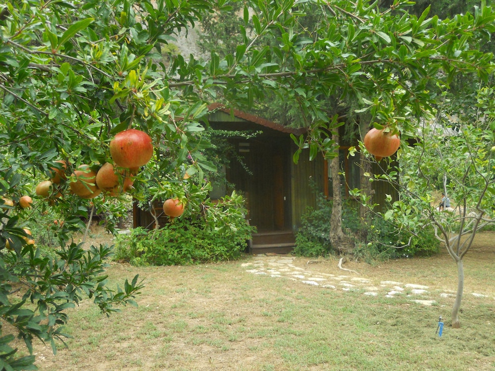 kibala hotel boutique class