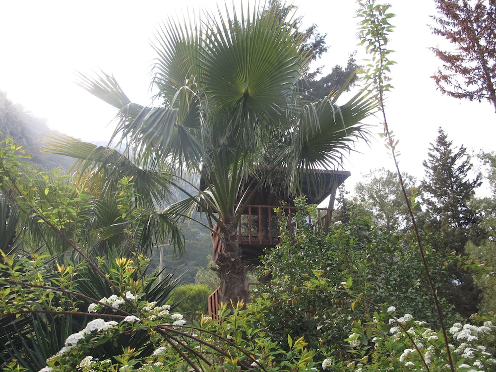 kibala hotel boutique class