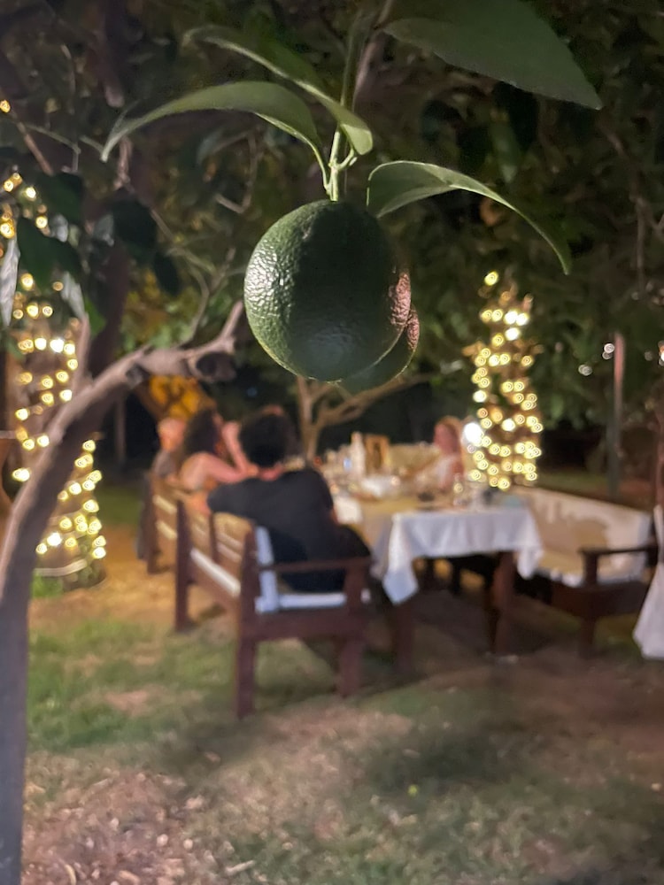 kibala hotel boutique class