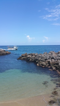 seapalms