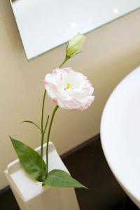 the oracle hotel and residences