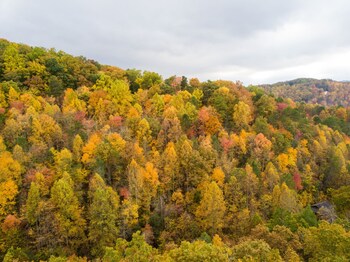 sevierville