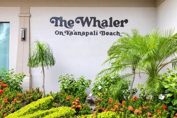 whaler resort by kbm