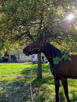 domaine de blanvatel