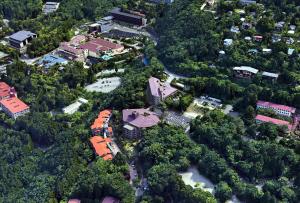 wisterian life club verde no mori