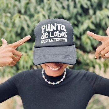 viento bravo