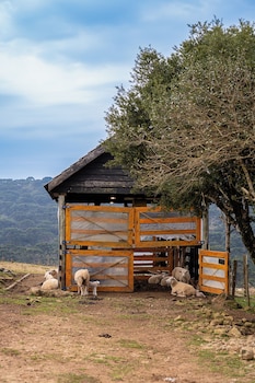 celeiro lake village