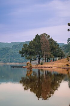 celeiro lake village