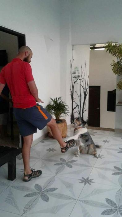 hotel capilla del sol